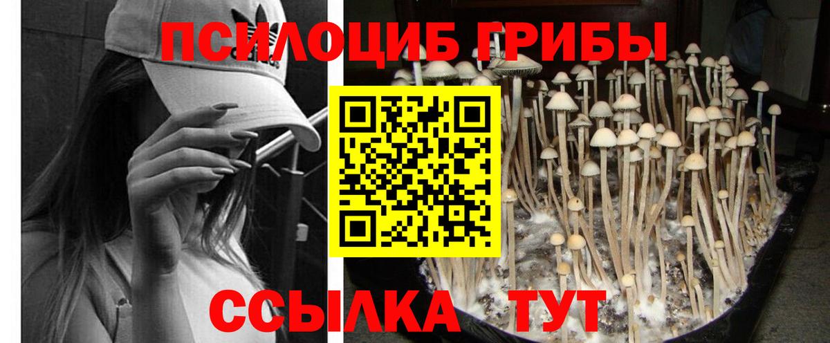 Кизляр  Галлюциногенные грибы Psilocybine cubensis  наркошоп  Галлюциногенные грибы Psilocybe  Вход с VPN 