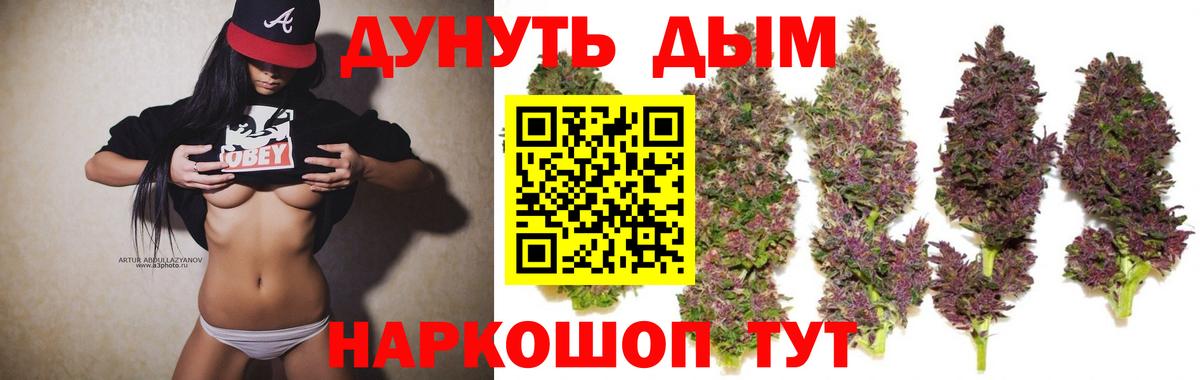 Бошки Шишки план  Канабис гибрид  Вход с VPN  МАРИХУАНА сатива  Шишки марихуана Amnesia  Кизляр 